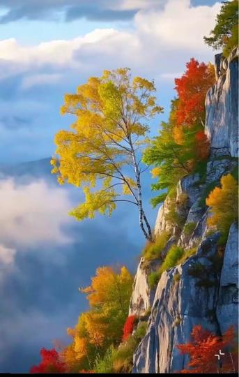 7F4D79FE-E7FA-4E1B-A3FA-11DCAF8CF42B-2561-00000809DAD69604