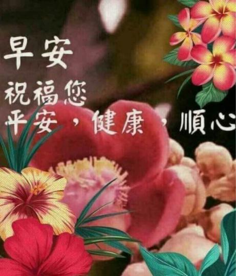 7F6F24BF-8FF5-4C9A-9CE4-5933398C94C5-50413-000005AC3D118310