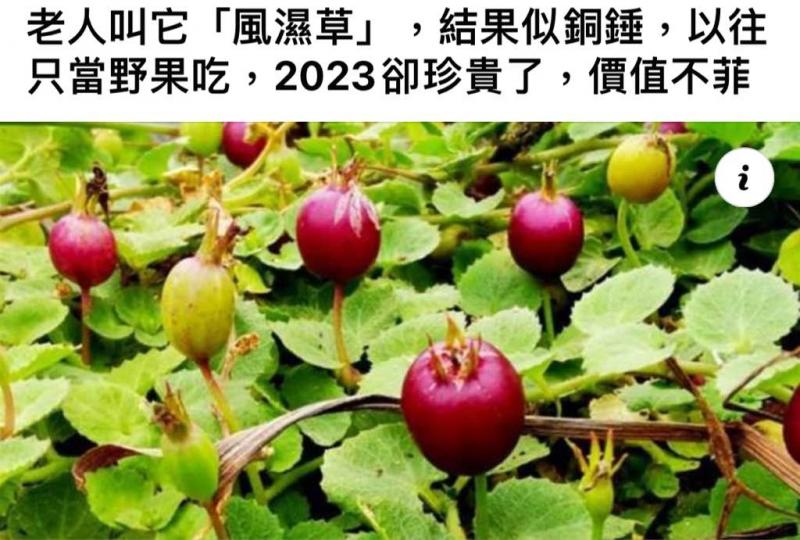 7F88983E-7E31-4887-A5E7-9D27AC319D72-14353-000001DB7073CC86