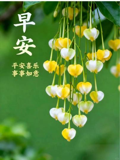 809080DF-974A-45E6-816C-FC0AA8BDA830-81259-0000069012DF9E37