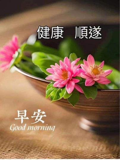 813D4605-3258-4F69-A359-7E4748EA8DD6-33767-000003B068647A75