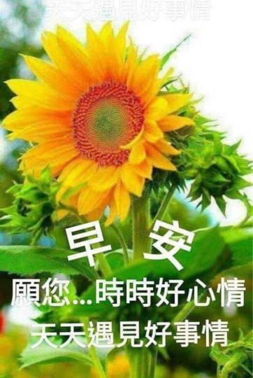8166BFAB-743D-41C6-B971-9C4B3351578A-98080-00000A60A6EB10E5