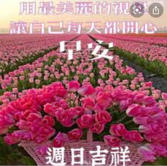81E4EDAC-0A60-4887-96B4-AB37B0962928-15504-000005AF80C445B9