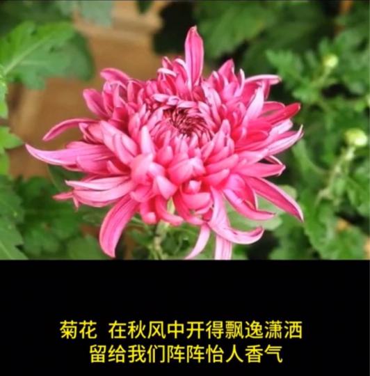 825CF1E0-525C-412E-8585-4A349AF0605A-12860-00000549ABB03F0A
