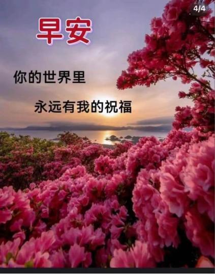82812879-867E-46A5-B40C-D6BB965C0637-832-0000001A4B210AFC