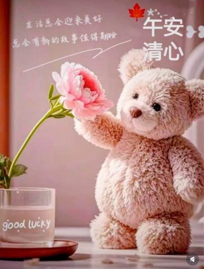 82FED5F5-A0A4-43FB-A2F0-8B5DBA1E008C-15275-000002755D1989D5