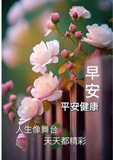 8315A7E5-4B19-4B1A-95B5-2A1FB8064131-74905-000007DBAF99FE61