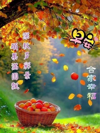 83B8A2F4-E6B7-467C-BD1A-6A788BE32B34-14217-0000018B96FF5601