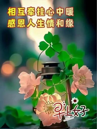 84A5F6EC-6490-4672-9DD2-AFBF59603AB4-65271-00001AB353ED3883