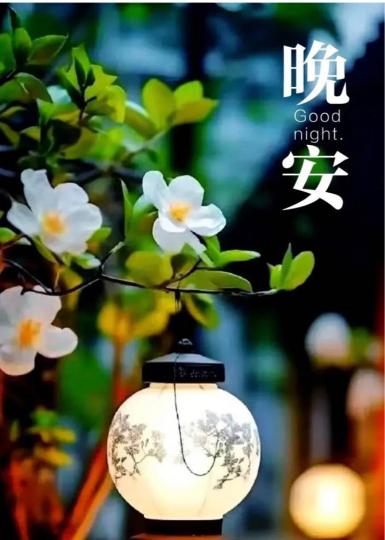 85C9F111-B724-4031-A6E4-3CE8FF87F6F4-2951-000000477943E579