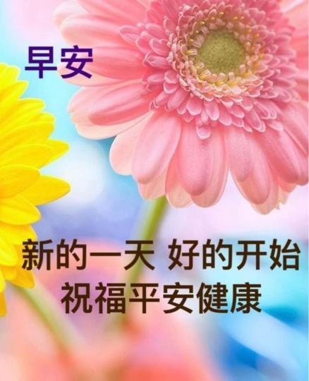 8632CD8A-87C8-4669-B67E-656C40455915-4132-0000006E49EE8AAA