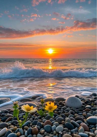 8679C946-1760-41EC-83EE-6EB6FB731064-430-0000166F83406AC6