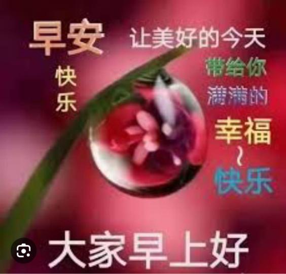 86D4D122-2F06-4AA8-B263-CFD7CF7FEB88-20511-000002368C144732