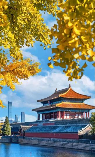 875696B5-2705-4CE2-B243-6AB3137D2D77-57904-0000057FDBE9848C