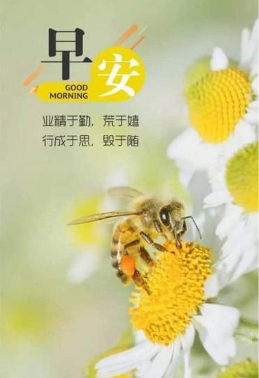 878B6358-E5D5-480B-8BF3-C0856C566DF1-2831-000001E0B8CE7B5F