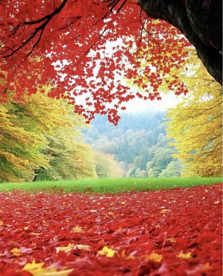 889F5D11-330B-4A06-B433-D6CB0471FE80-46233-0000044C155E0E47