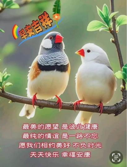 88E00664-A9D8-49ED-B78E-81177E538E4F-61721-00001D3B8784C813