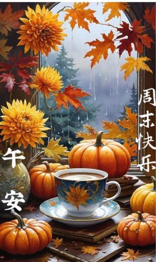 88F7036C-64CF-4AA8-BC57-6BFEA0FA967E-73619-000005E4E157CCC6