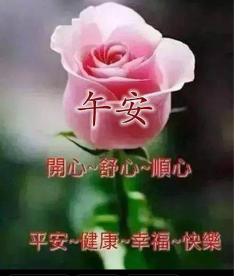 89749FC6-2E92-4082-B775-607281168752-47586-000005555DFA7EE1