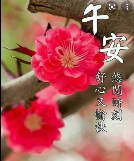 897D31DE-5879-4FC3-A1C4-5B78D19F0AE8-11756-0000037C31921FFA