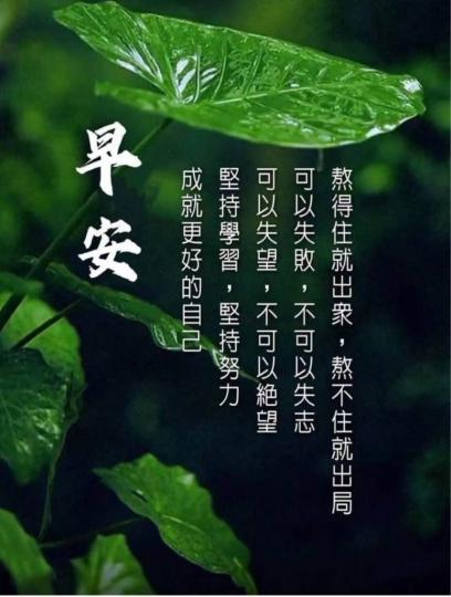 89C3A87A-93D9-4F83-8632-89E0CB4F01AC-25793-0000025A5F99392B