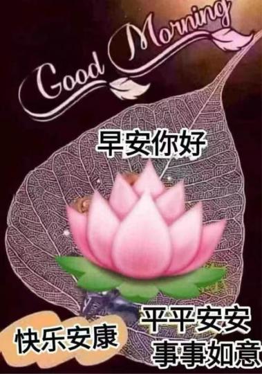 8AF2D482-EF98-4AD6-AD84-62DD260F8561-65740-00000A0A66D8EF5F