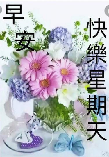 8B72813B-F31A-4E14-BBE6-B4AF2BA74A66-3481-0000005E02F5D070