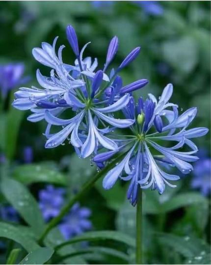 8B93F215-D511-4DFD-80FF-A14379D90898-22484-00000250EE278773