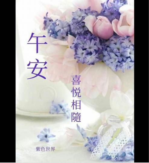 8B98BAC3-C385-4FED-A880-CFB4ED256B63-11723-0000075CF421650A