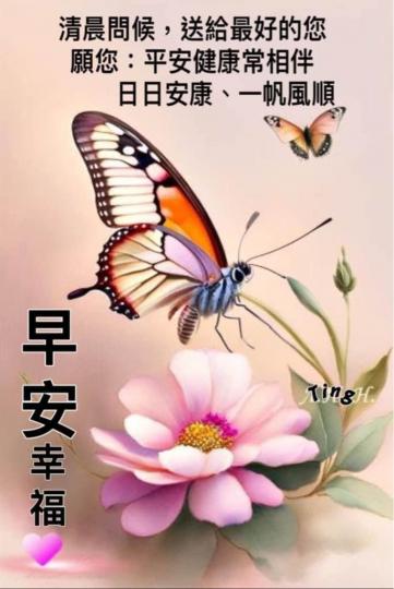 8BC13104-15E6-455F-8AD6-F63C4279F444-38461-000004536979531C