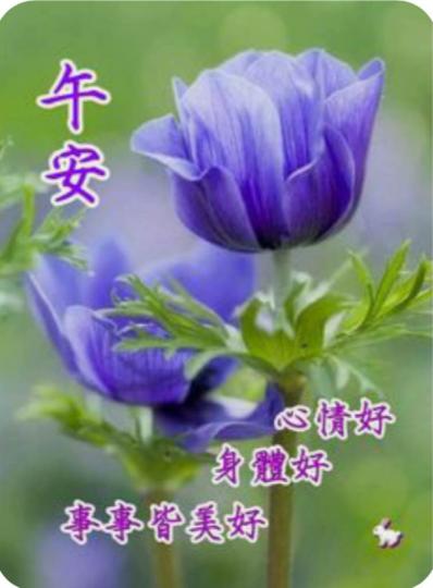8BD70922-A6CB-40A1-A5E4-6D26801B901F-47304-0000056AFE0842CE