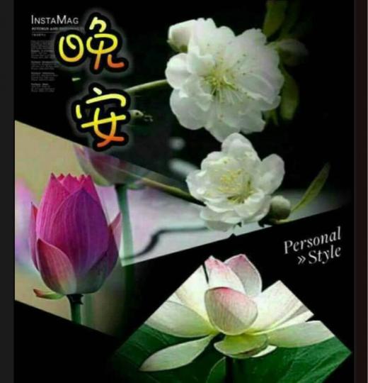 8BDF84A4-6033-433F-976B-86E054CD0A12-2148-000001192DCB7DBF