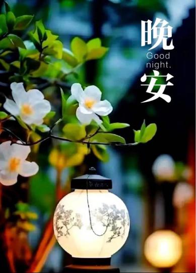 8CC026BA-C9F5-452D-8E4F-52BEFBB34F0B-86374-000017231B705F07