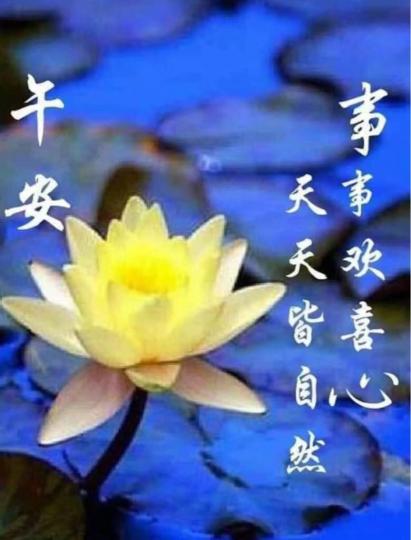 8D24733A-4216-4E3E-8102-1A1FC3660C94-69157-00000AB7C6A1C9A8
