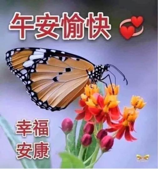8D654692-C177-4F72-801B-692F617F548A-31477-000002F793AB9B24