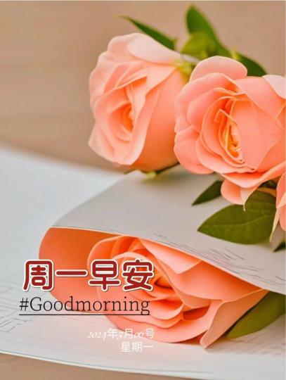8E3918F3-0452-4D87-80B7-EDCDEF946A36-87253-00000905AF967B10