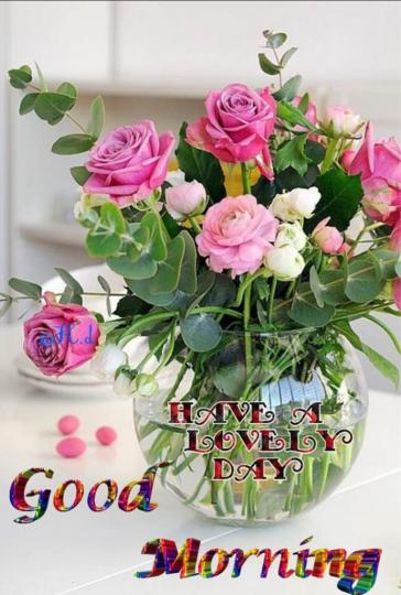 8F03DA27-6722-456C-ADE3-A69D4B2F25C0-32956-0000067868FF0DEC