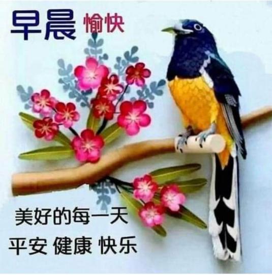 90458111-0DFD-4D6D-A10A-14F2FE8FB877-4895-000002F3F5F0ADDB