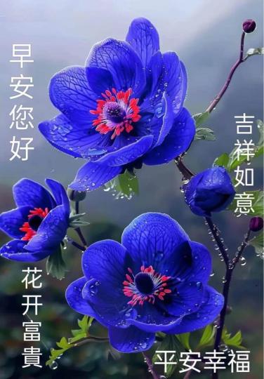 90622D51-367F-44EE-9F3F-0F76749F030E-19292-000001D091AAEC1A