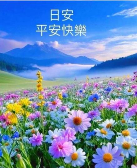 90D52585-9F99-469B-B029-FB9BE6DF734D-72629-000008728D5F0BC9