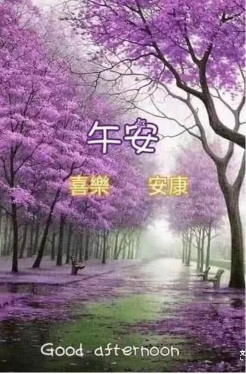 9123850B-409D-473E-88C6-5C9D657D0BAA-65992-000011EAC63E23C0