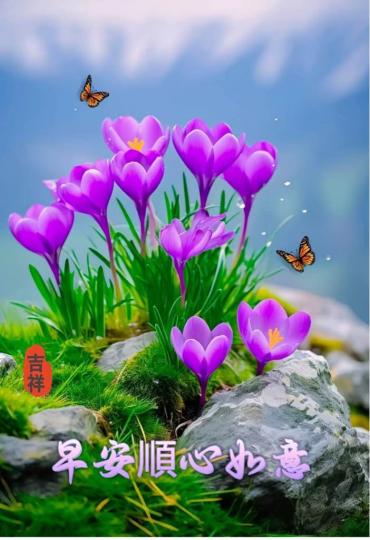 916183F8-21A4-473D-8D31-58EFF5D84F90-5982-000000E95C51757B