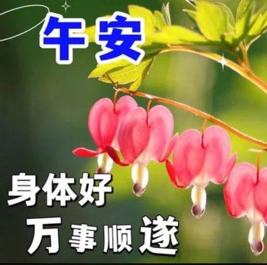91BF5DA6-4033-4678-8660-4552AD6CC9F1-83911-0000091F27021DE9