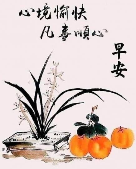 91EE95B3-E151-412B-B031-22E1B7EE7A06-59790-0000065524BB6CE3