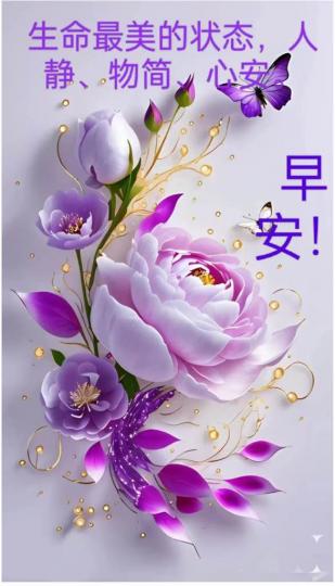 92FFCC1D-BA0B-4DBA-A59F-E591ABBE95C4-31797-0000032A2B70C03F
