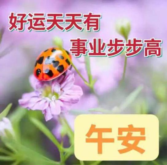 9306DF9F-D002-419F-8F8D-5F425EB76236-93496-000009C9BC216075