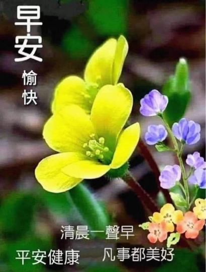 935C4904-86FF-4FCC-BEFF-0377B75646A9-13046-00000178FFD0F026