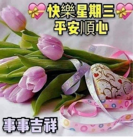 93C9F6B3-9047-43F8-BCB2-D153ADF74EF2-31821-0000037F6449CAFE