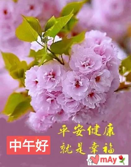 9516DB96-72C1-4B9C-A457-105C4DB17366-78353-00001F8B6BA1D216