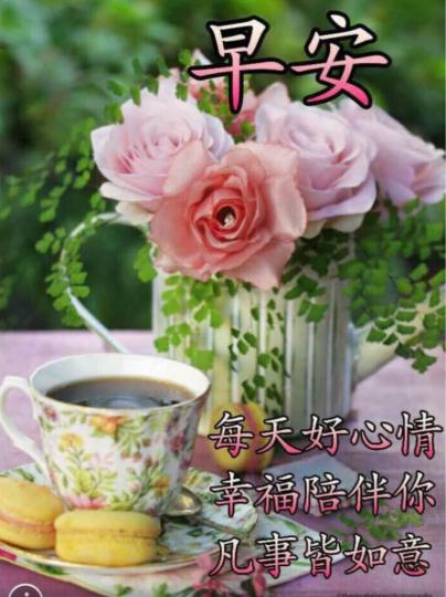 964B4C5F-5246-489C-B174-8E2BFD626586-1402-000000758CBB4EE7